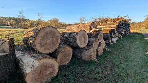 PXL_20260407_054435755