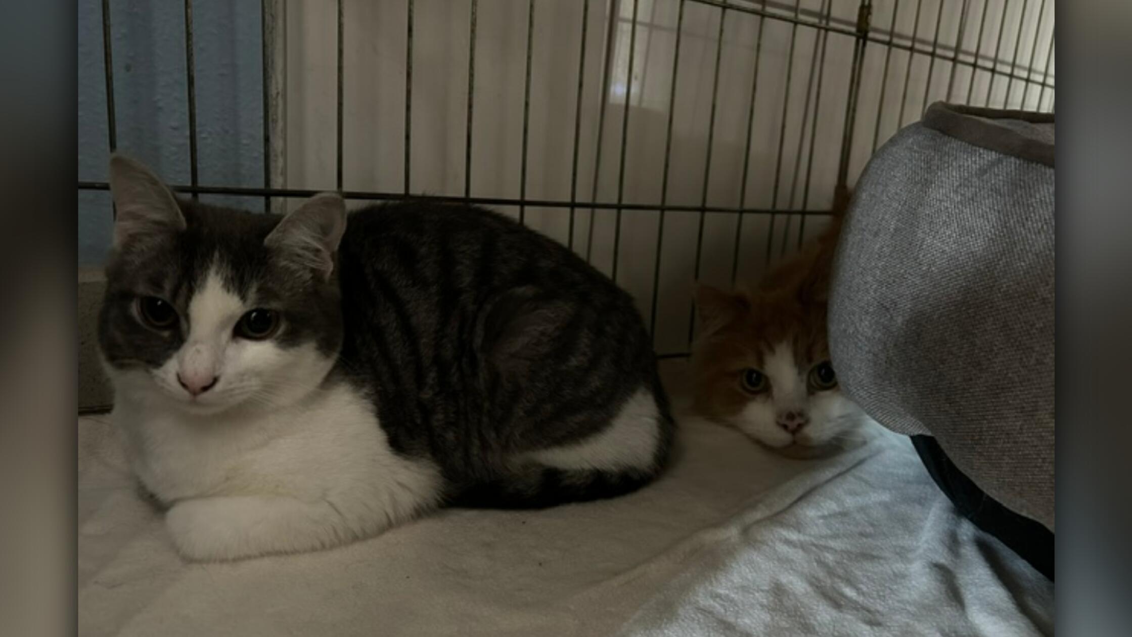 2026-04-13_09-26_bild_erweitern