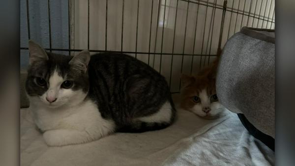 2026-04-13_09-26_bild_erweitern