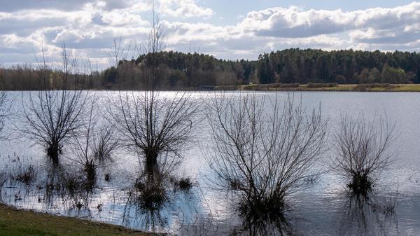 Der große Brombachsee ist wieder randvoll, wie hier bei Enderndorf.