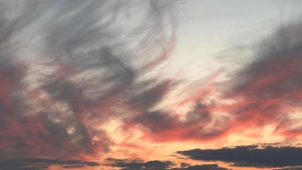 "Farbenspiel" hat unsere Leserin Petra Gaukler ihr Bild genannt.