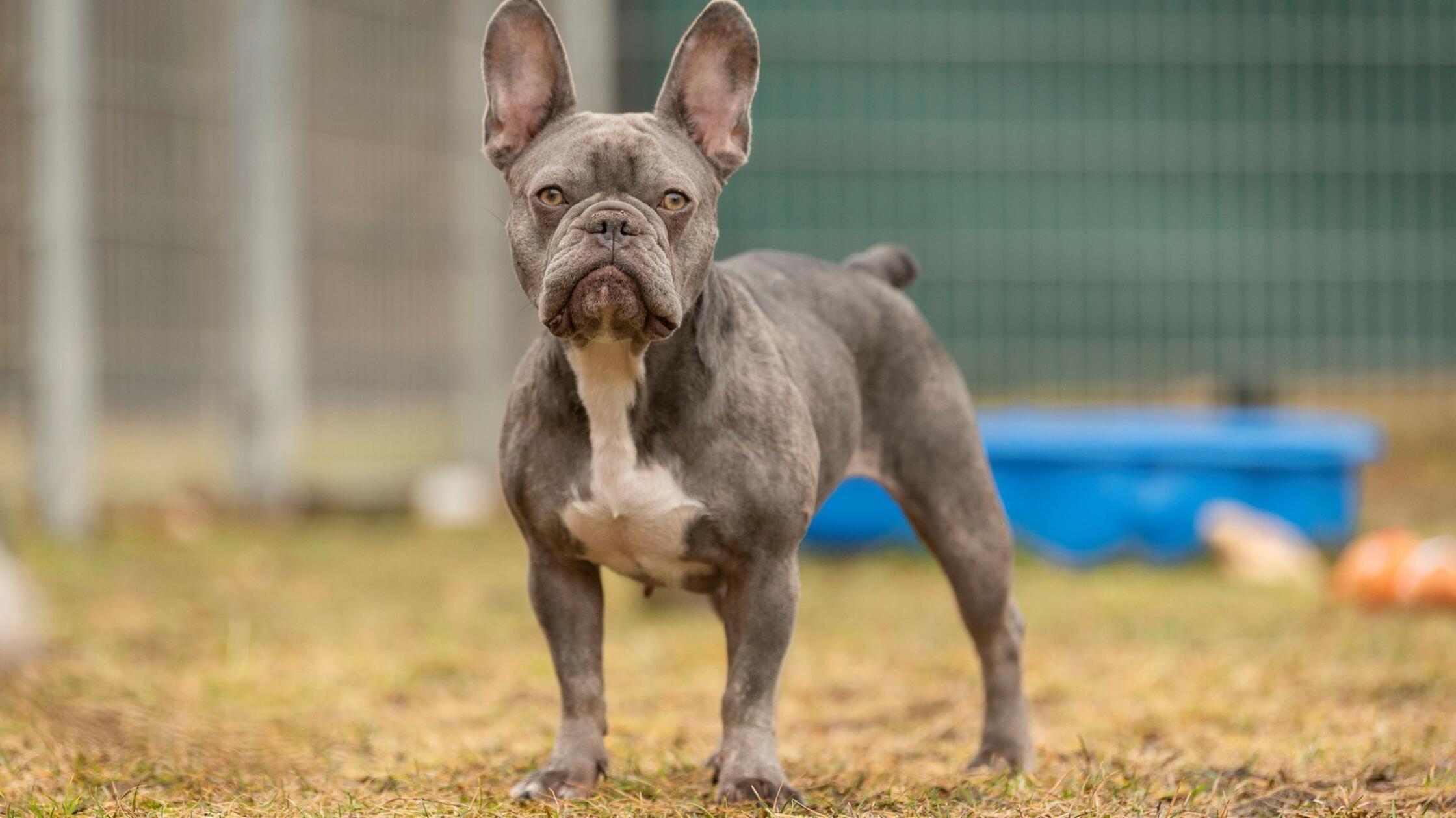 669586954_1382424803930287_8394256067243264103_n