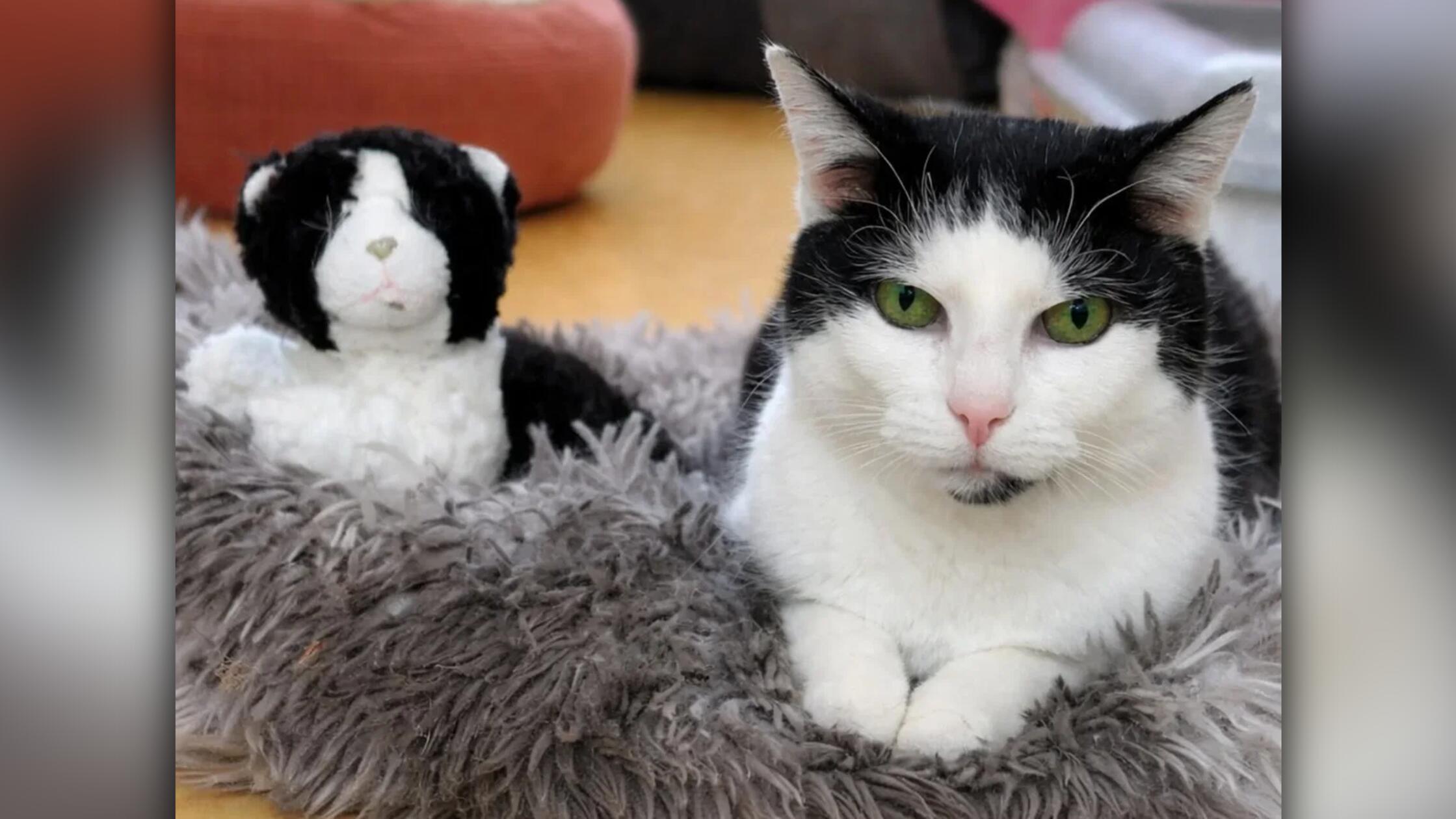 2026-04-14_14-48_bild_erweitern