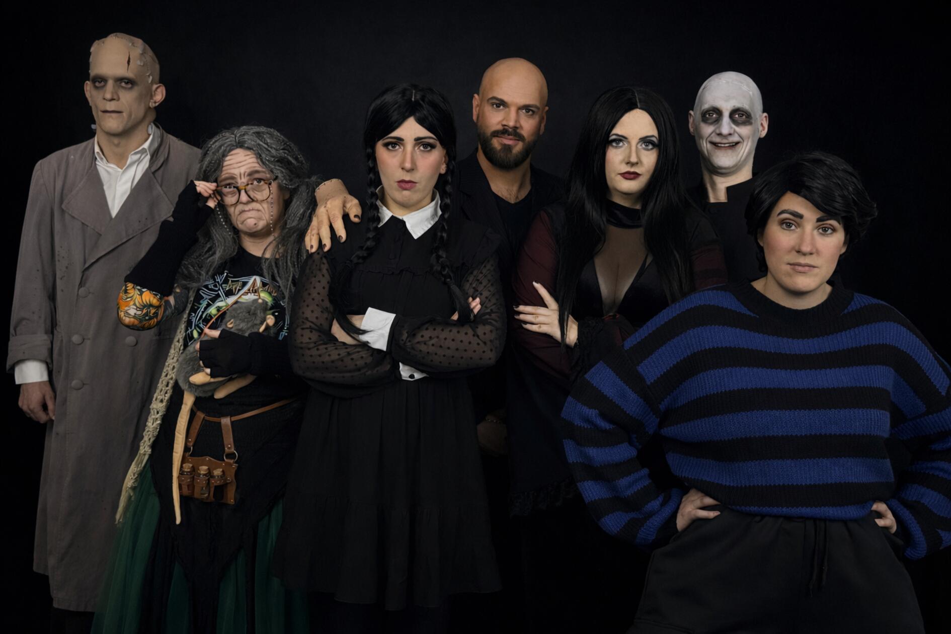 Samstag und Sonntag präsentiert die Musicalcompany Nürnberg das deutschsprachige Musical "The Addams Family" im Markgrafensaal Schwabach. Los geht die Show an beiden Tagen jeweils um 19.30 Uhr.