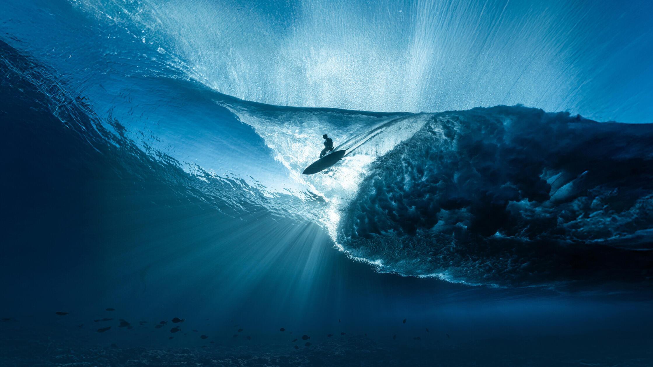 Die Ocen Film Tour macht am Sonntag in der Meistersingerhalle Halt. Um 15 und 19 Uhr laufen im kleinen Saal der Spielstätte mehrere Outdoorfilme, die sich rund um das Thema Meer drehen.
