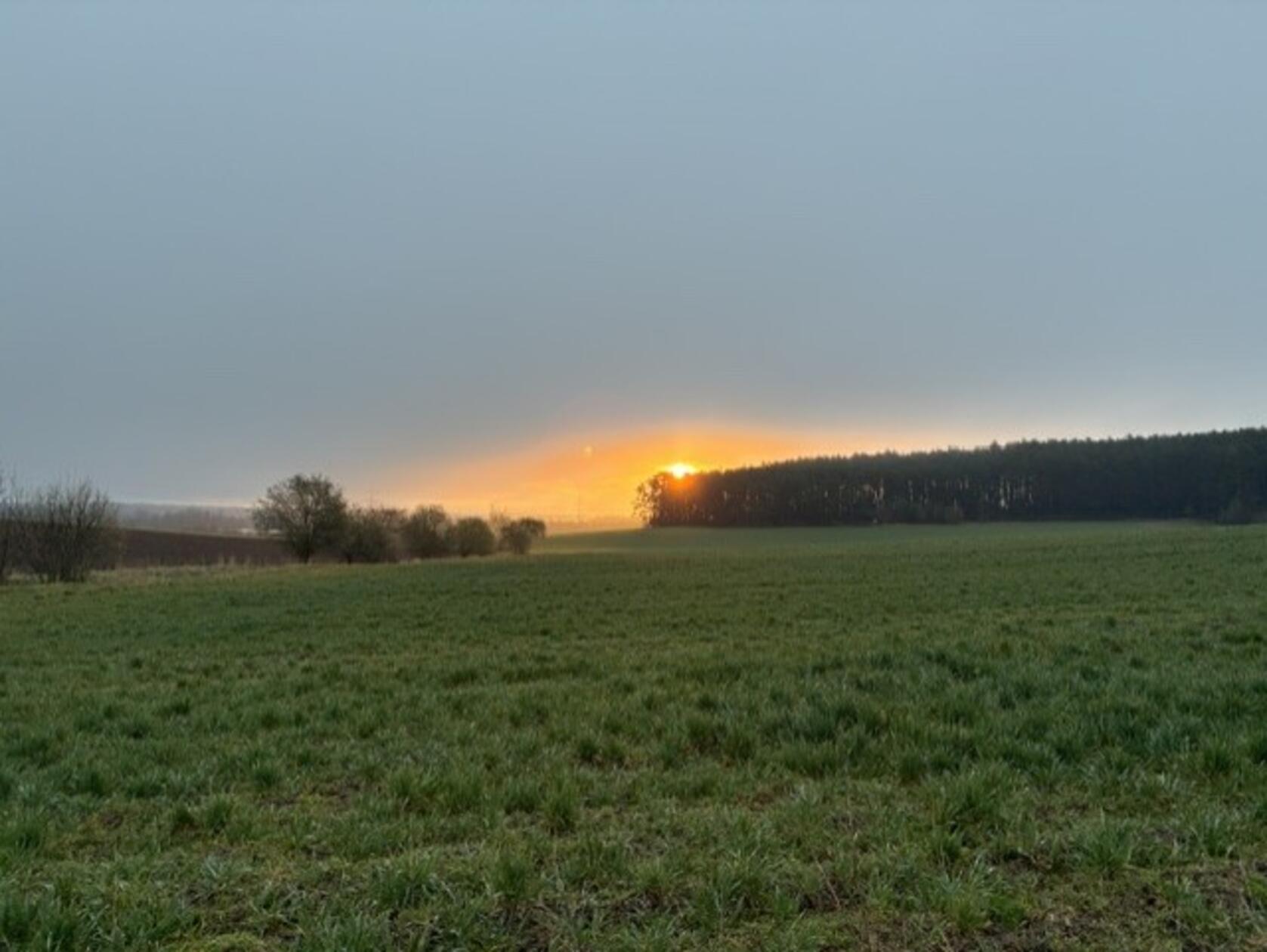Sonnenaufgang in der Nähe von Mühlstetten.