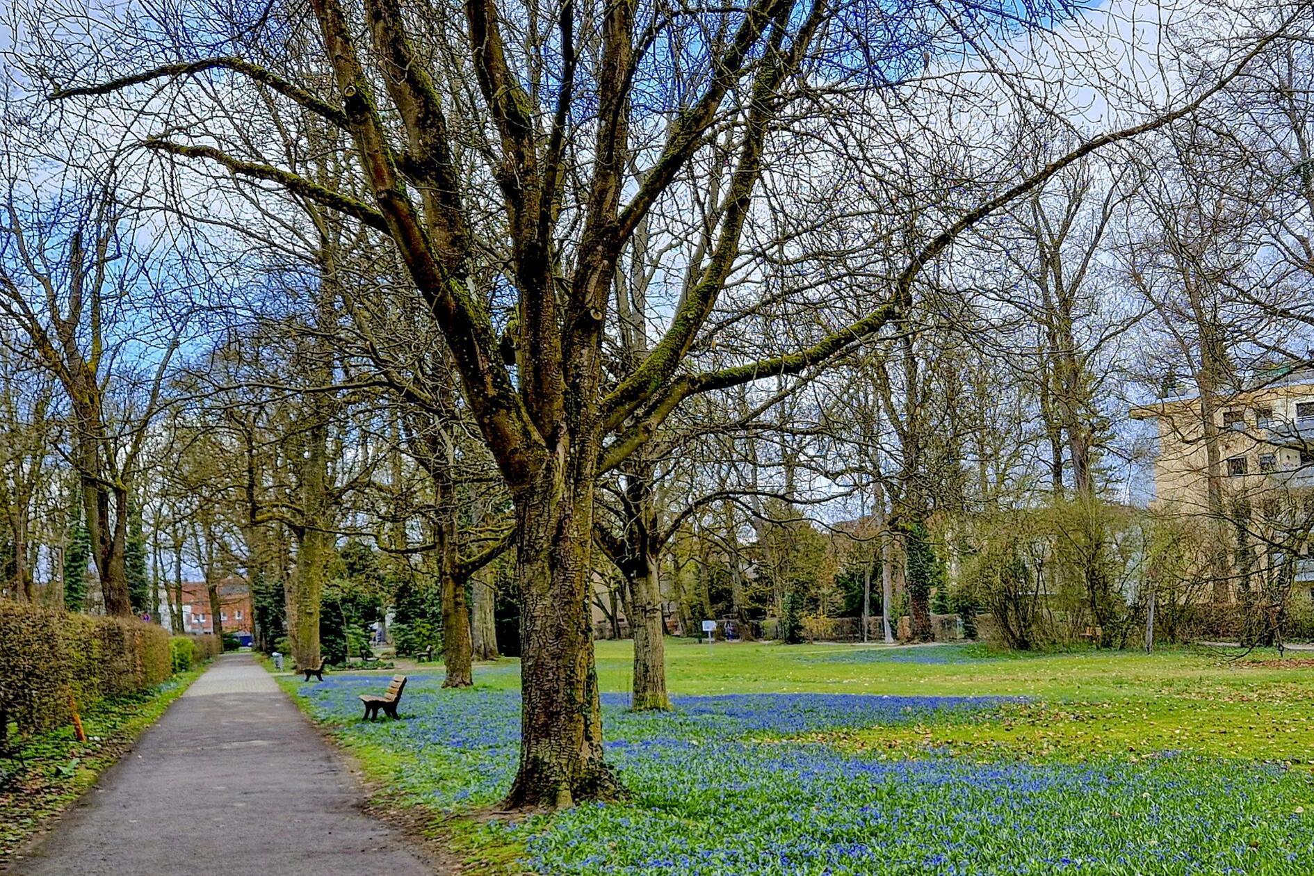 Der Stadtpark Schwabach mit dem „Blauen Band“ ist immer einen Spaziergang wert.