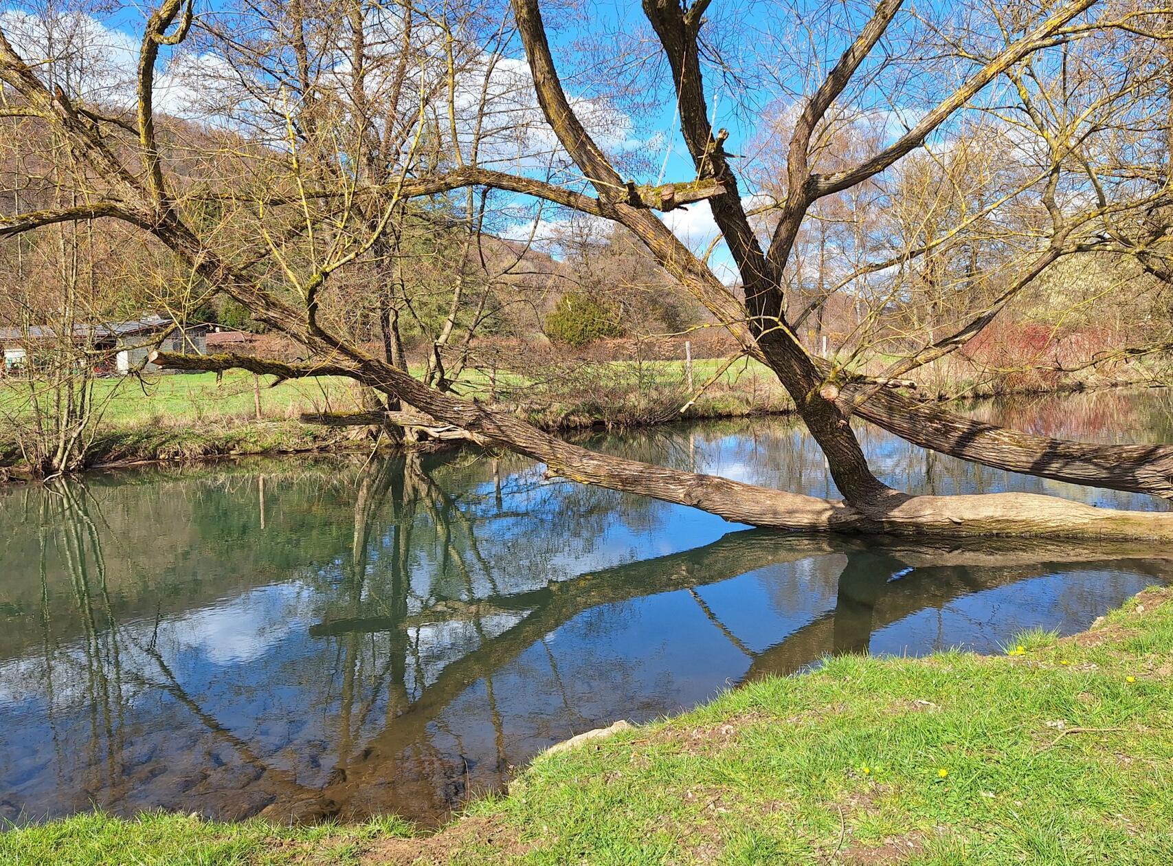 Entlang der Pegnitz bei einer Wanderung in der Hersbrucker Schweiz.