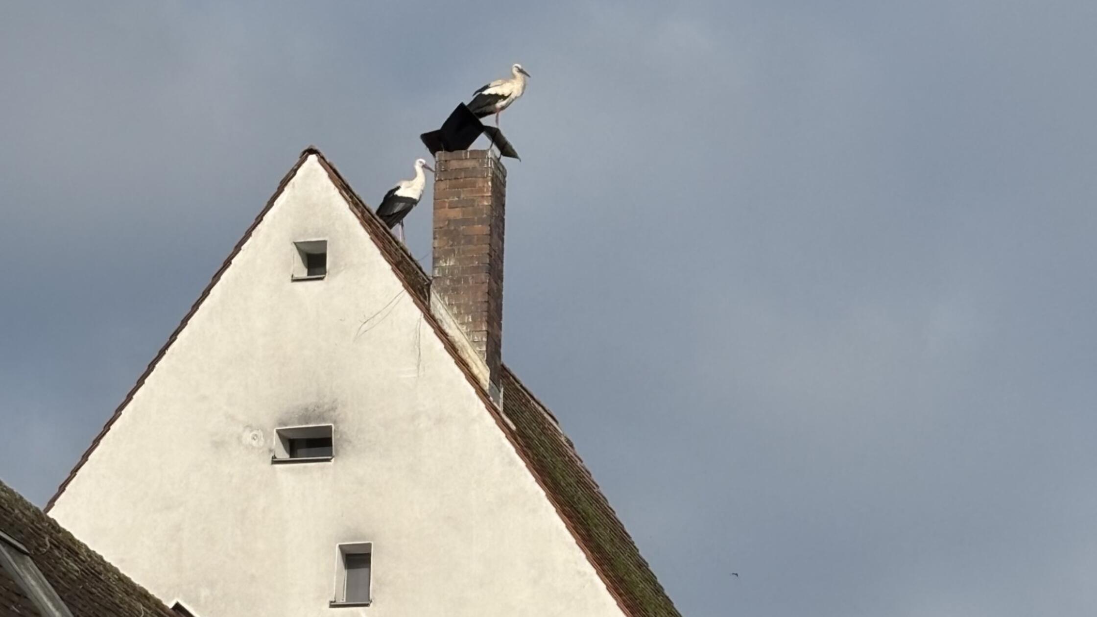 e6da4b81-b317-4ec6-a56e-2665466c1691