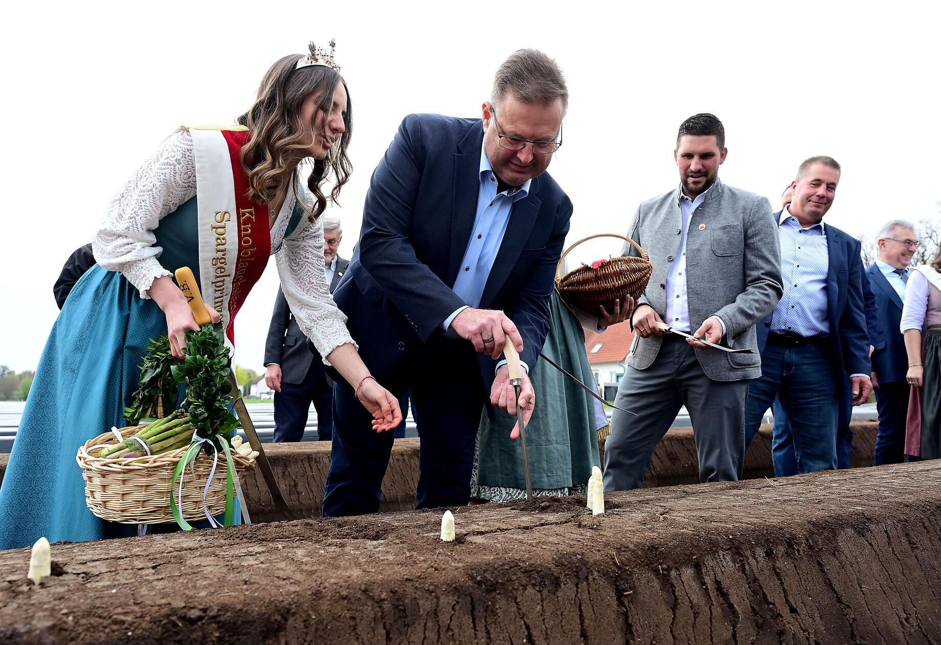 spargel_hjw_150426_012