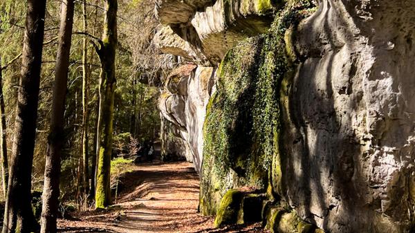 Hier in der Fränkischen Schweiz findet man viele Felsen und schöne Wanderwege. Unsere Leserin hat eine hübsche Aufnahme dabei gemacht.