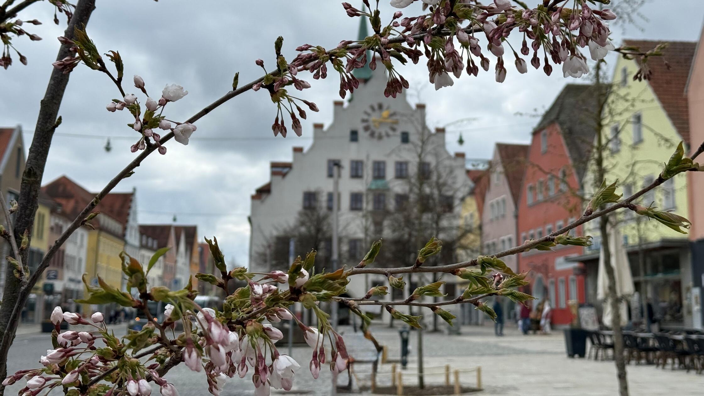 Leserfoto Angelika Kress