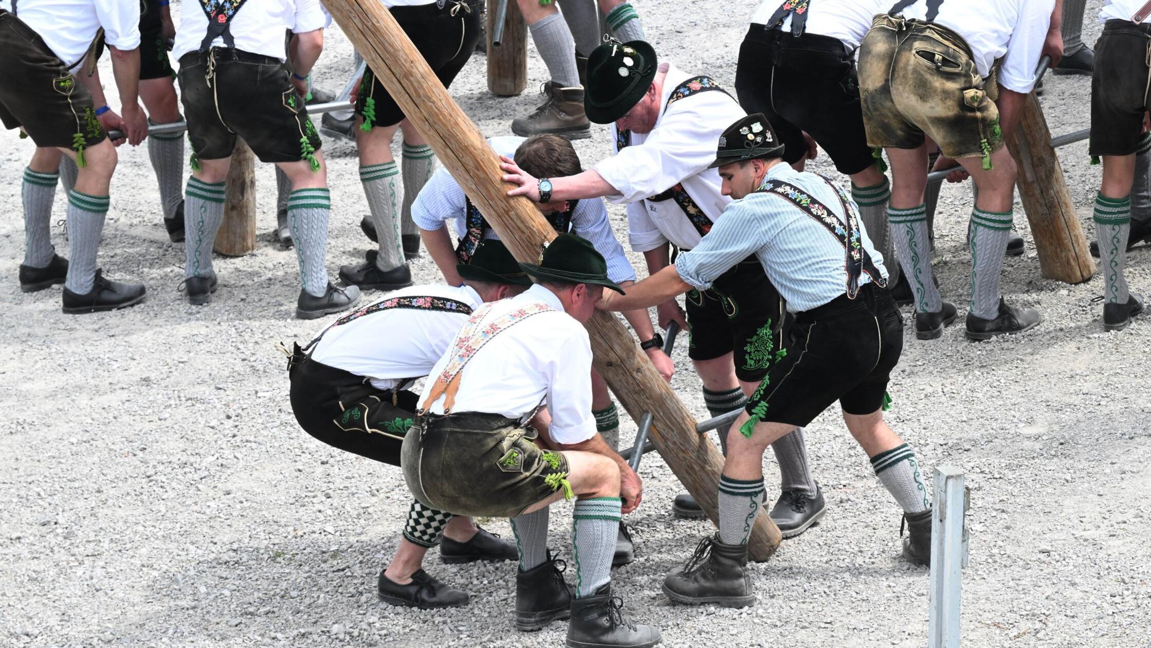 Ein Maibaum wird im Freilichtmuseum Glentleiten au