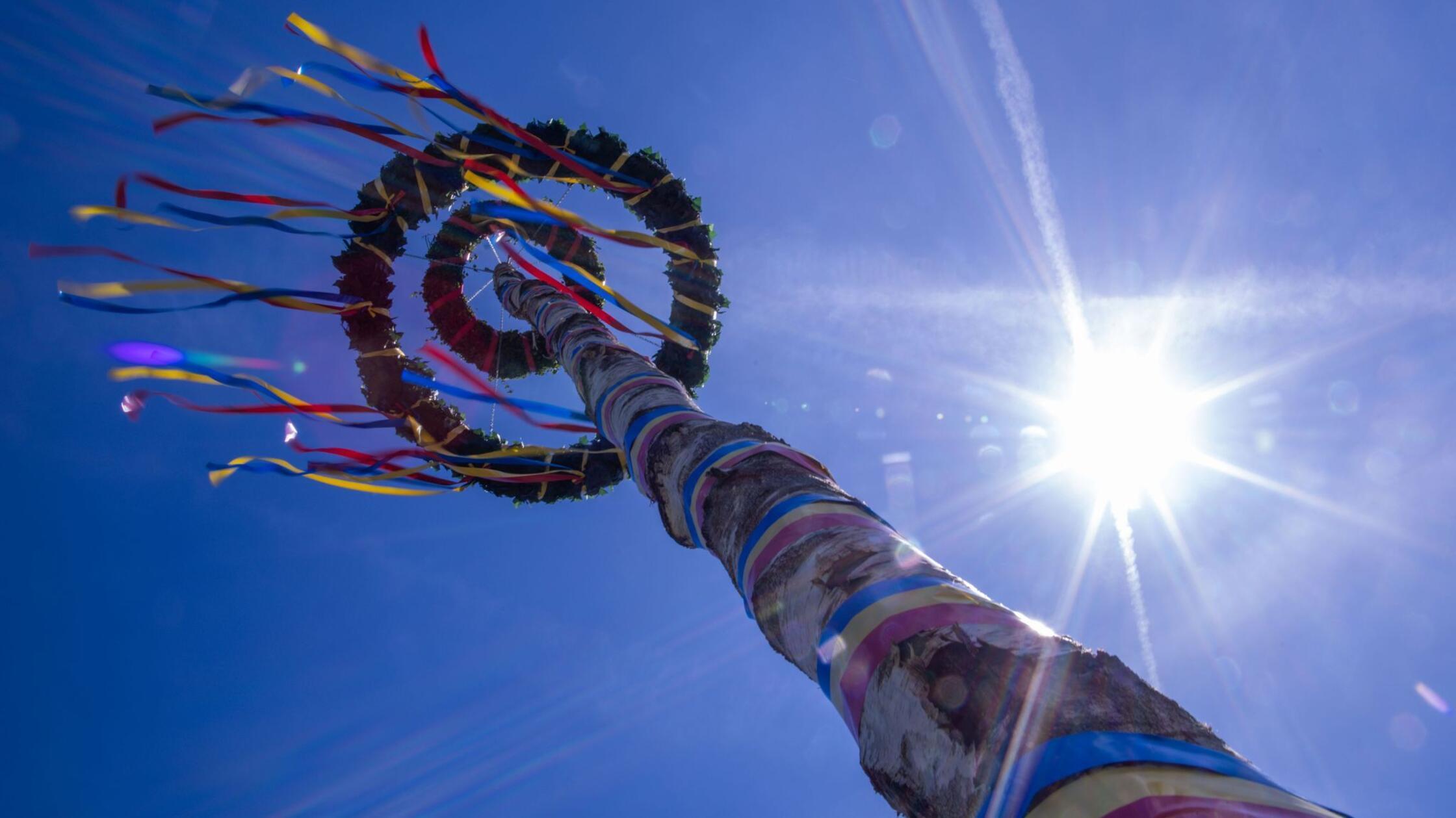Der traditionelle Maibaum wurde von Mitgliedern de