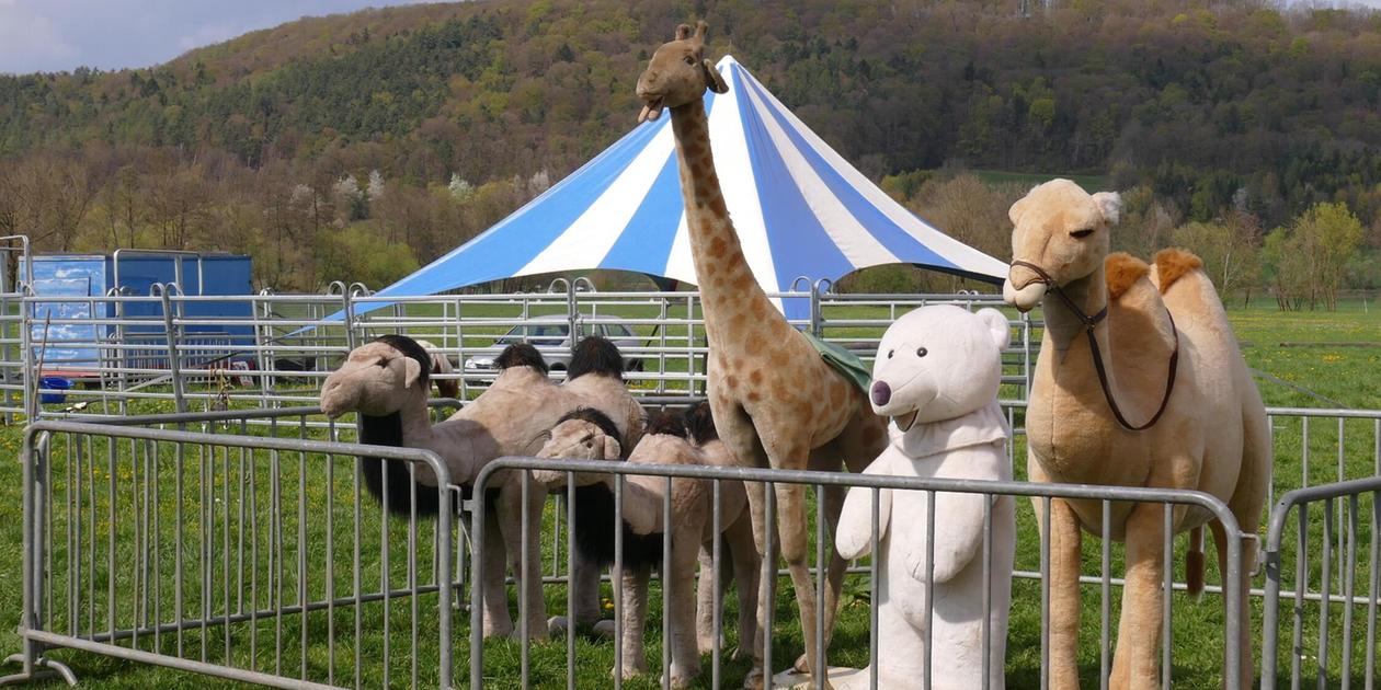 With acrobatics and stuffed animals: Circus in Happurg goes with an ...