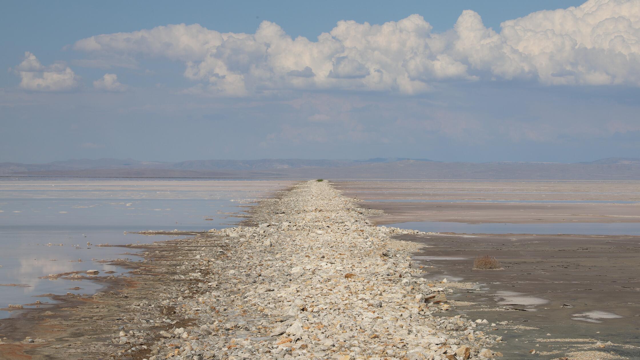 adnkale-stone-7686466