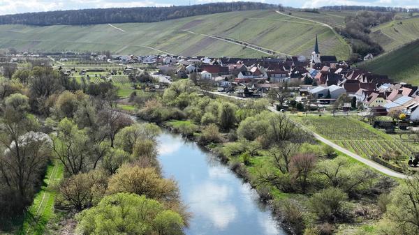 Escherndorf aus der Vogelperspektive – aufgenommen mit einer Drohne vom alten Main aus.