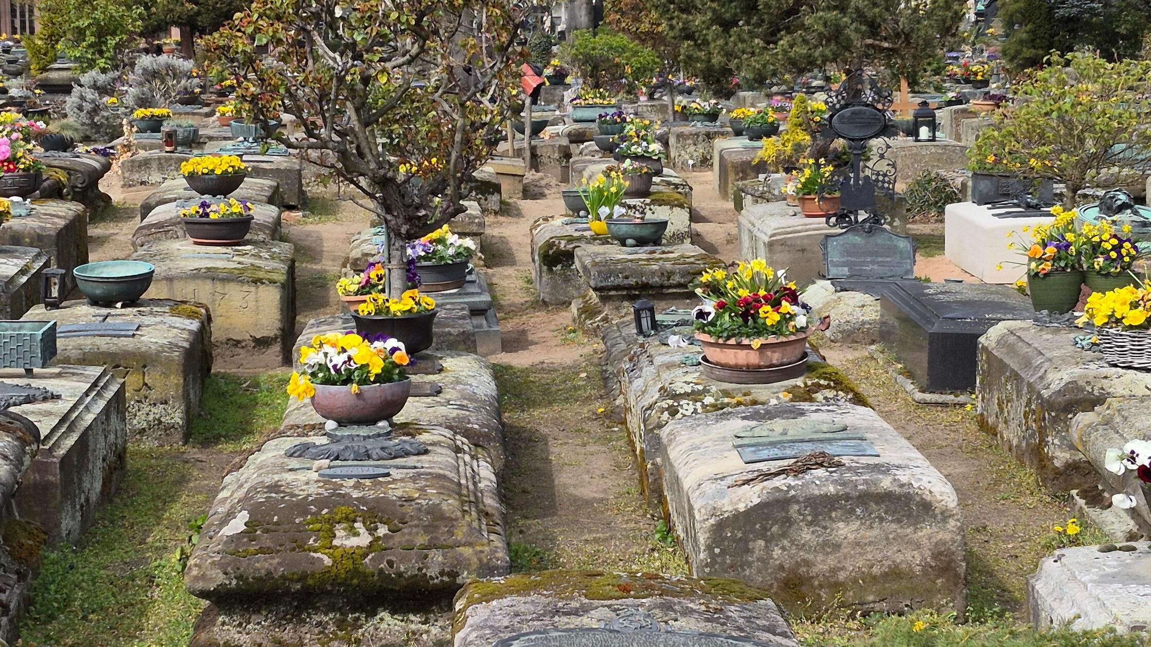 VÖ 17042026 Friedhof