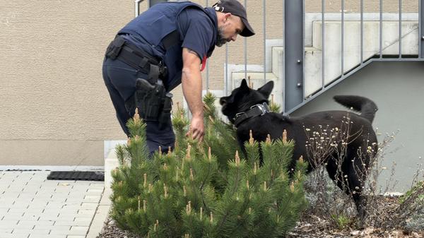 Mann geht mit spitzem Gegenstand auf Frau los: 27-