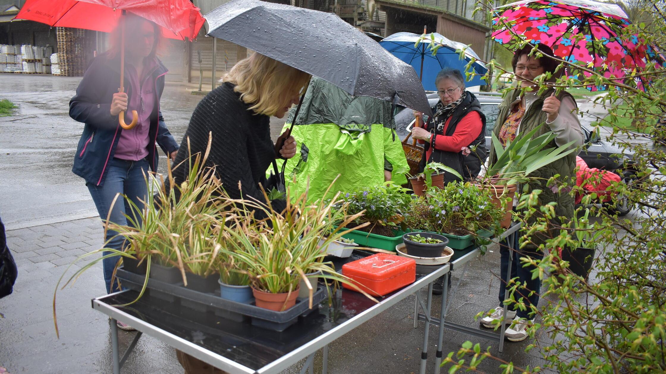 Gudrun Pöhner, erster Vorstand des Obst- und Garte