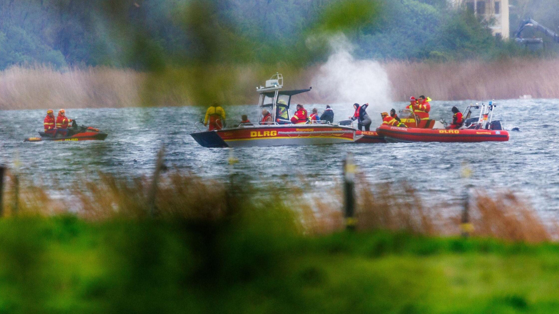 Der Buckelwal vor der Insel Poel schwimmt frei und