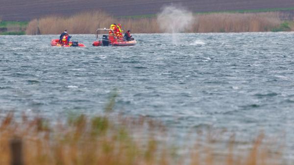 Der Buckelwal vor der Insel Poel schwimmt frei, wä