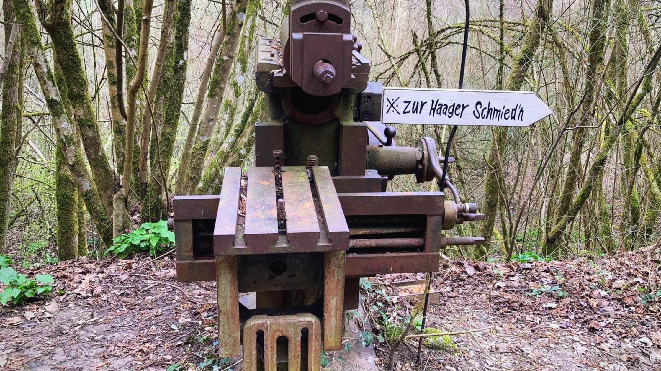 Bei seiner Wanderung im Wiesenttal hat unser Leser an uns gedacht und schickt "Grüße aus dem Königreich Haag".