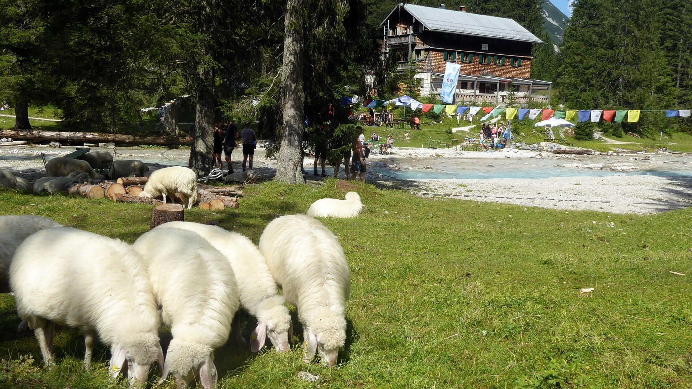 Die Partnach fließt an der Reintalangerhütte einer
