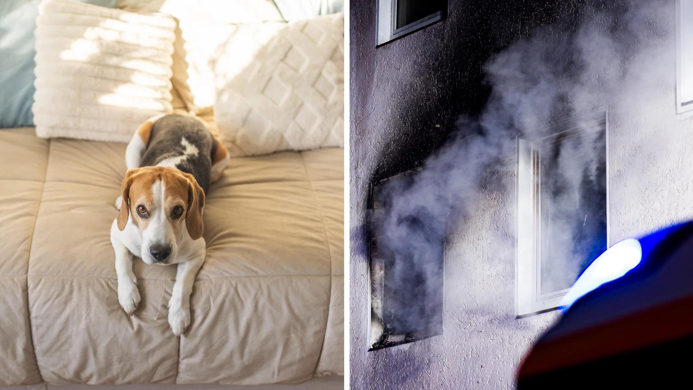 2026-04-21_09-47_collage