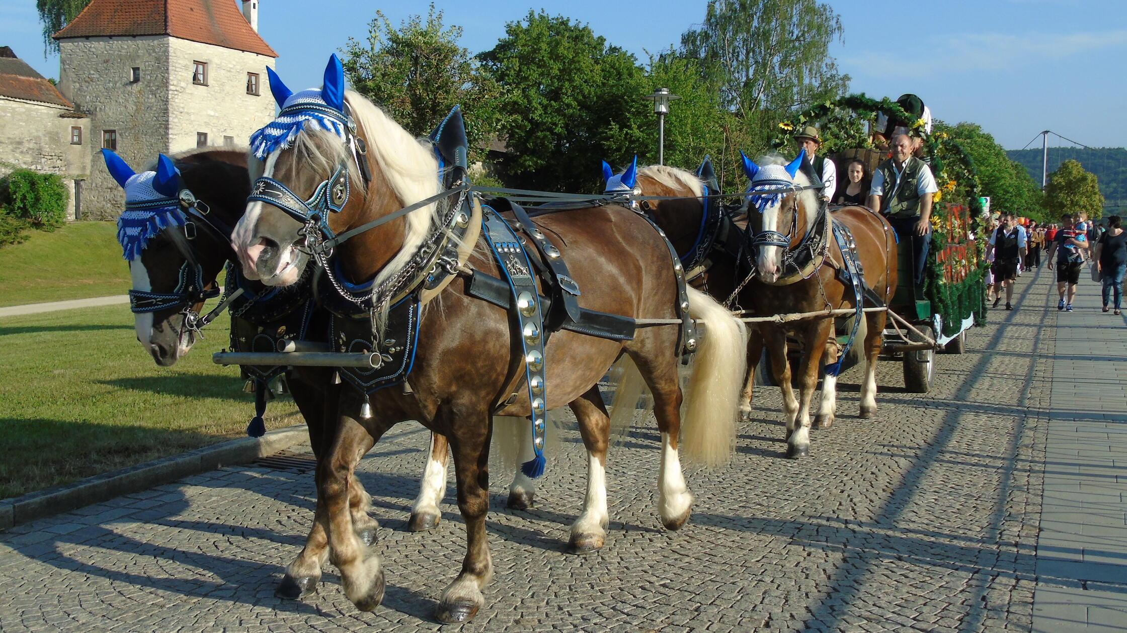 Ein Vierspänner zieht zum Auftakt des Pfingtvolksf
