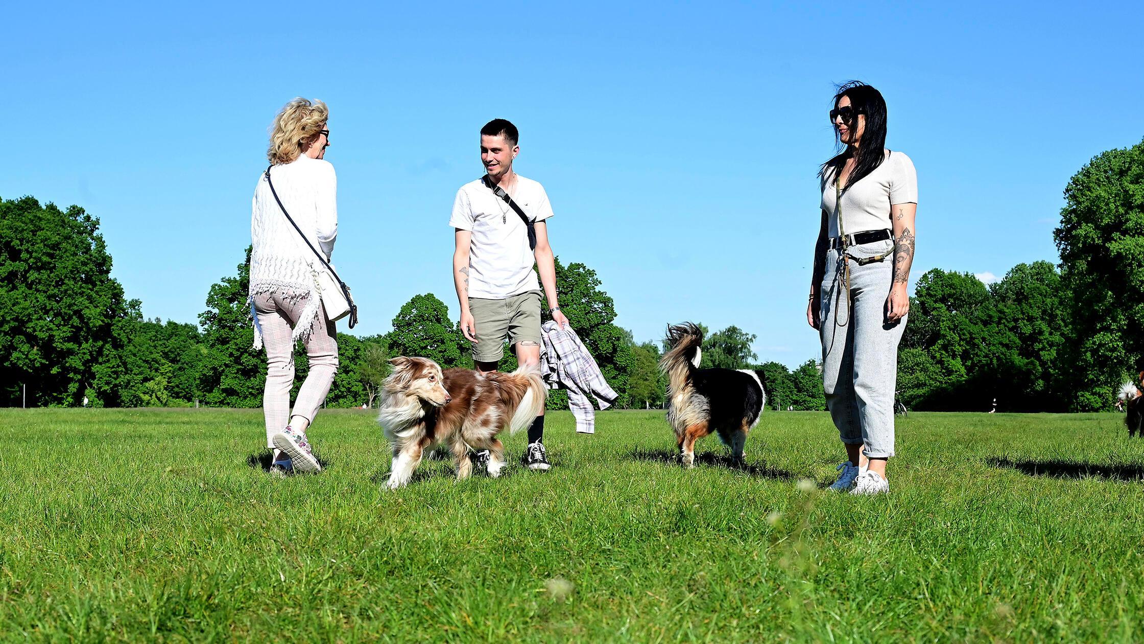 SÖR hat im Marienbergpark die bisherige Hundewiese
