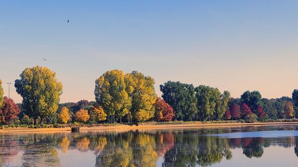 VÖ_03112025 Dutzendteich