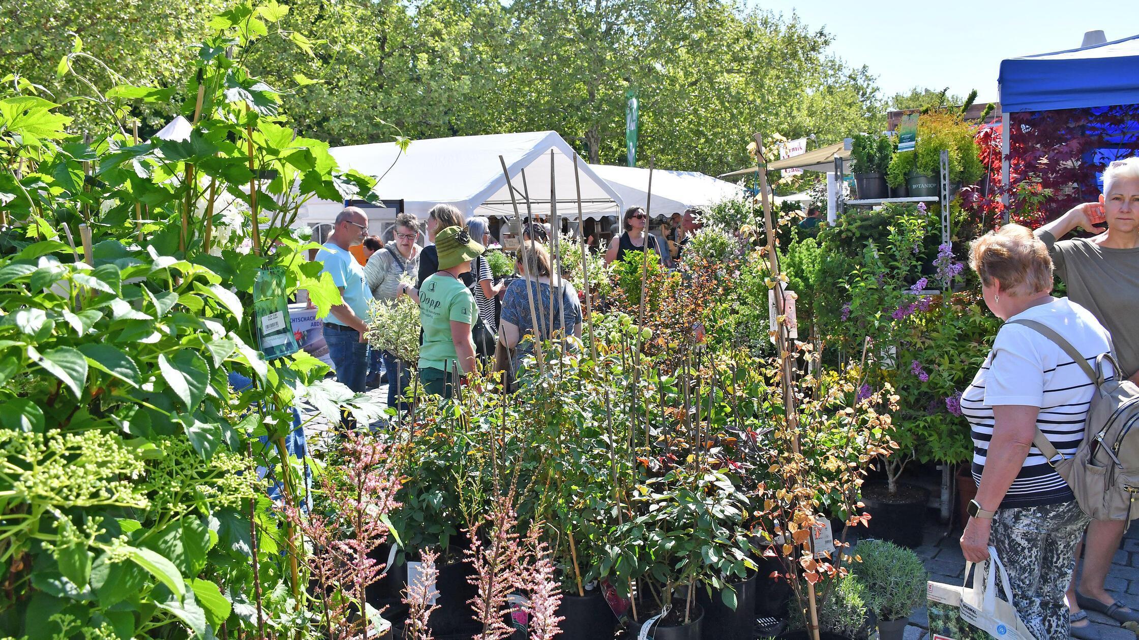 Gartenmarkt