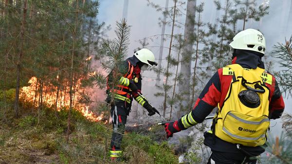 Ein Feuer im Staatsforst bei Tennenlohe hat zahlre