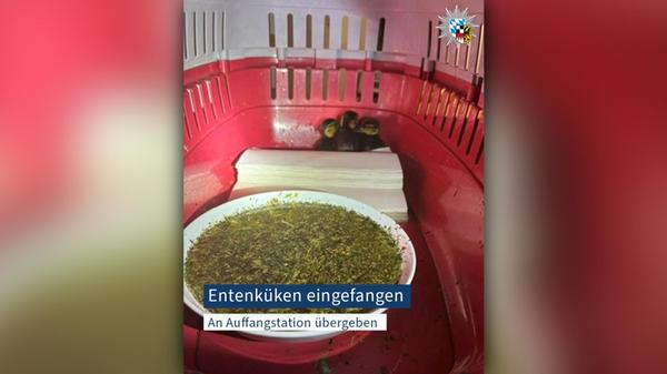 2026-04-24_10-32_bild_erweitern