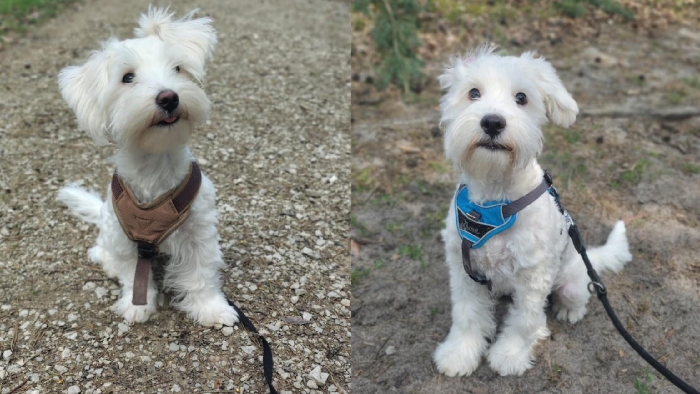 2026-04-24_12-41_bild_erweitern