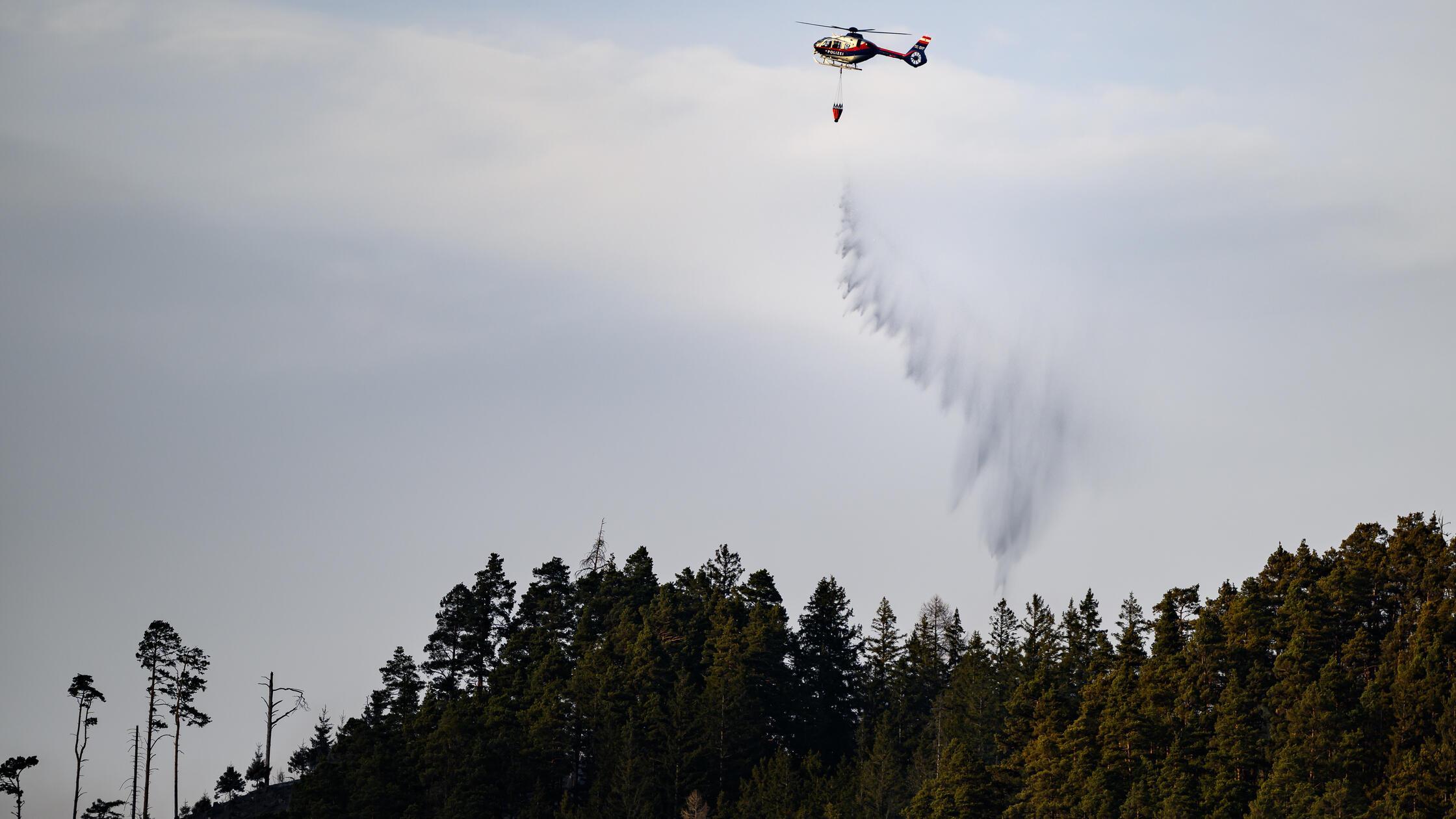NIEDERÖSTERREICH: WALD-GROSSBRAND IM RAXGEBIET .