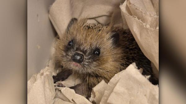 2026-04-26_10-26_bild_erweitern