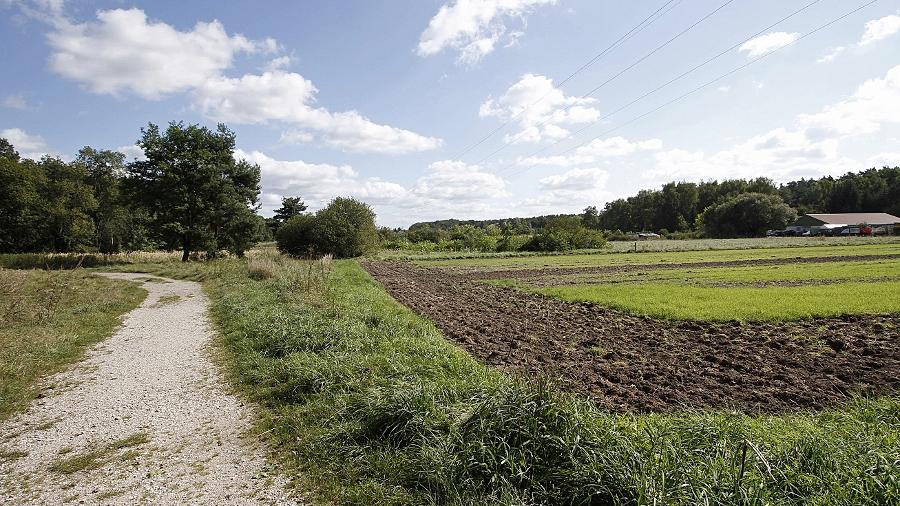 Fürth zeigt dem Schwenk die Rote Karte Fürth zeigt dem Schwenk die Rote Karte