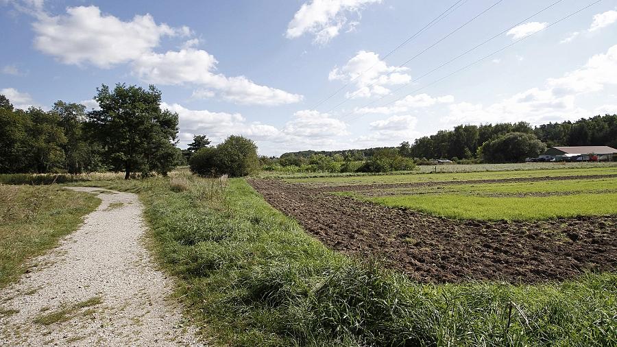 Fürth zeigt dem Schwenk die Rote Karte