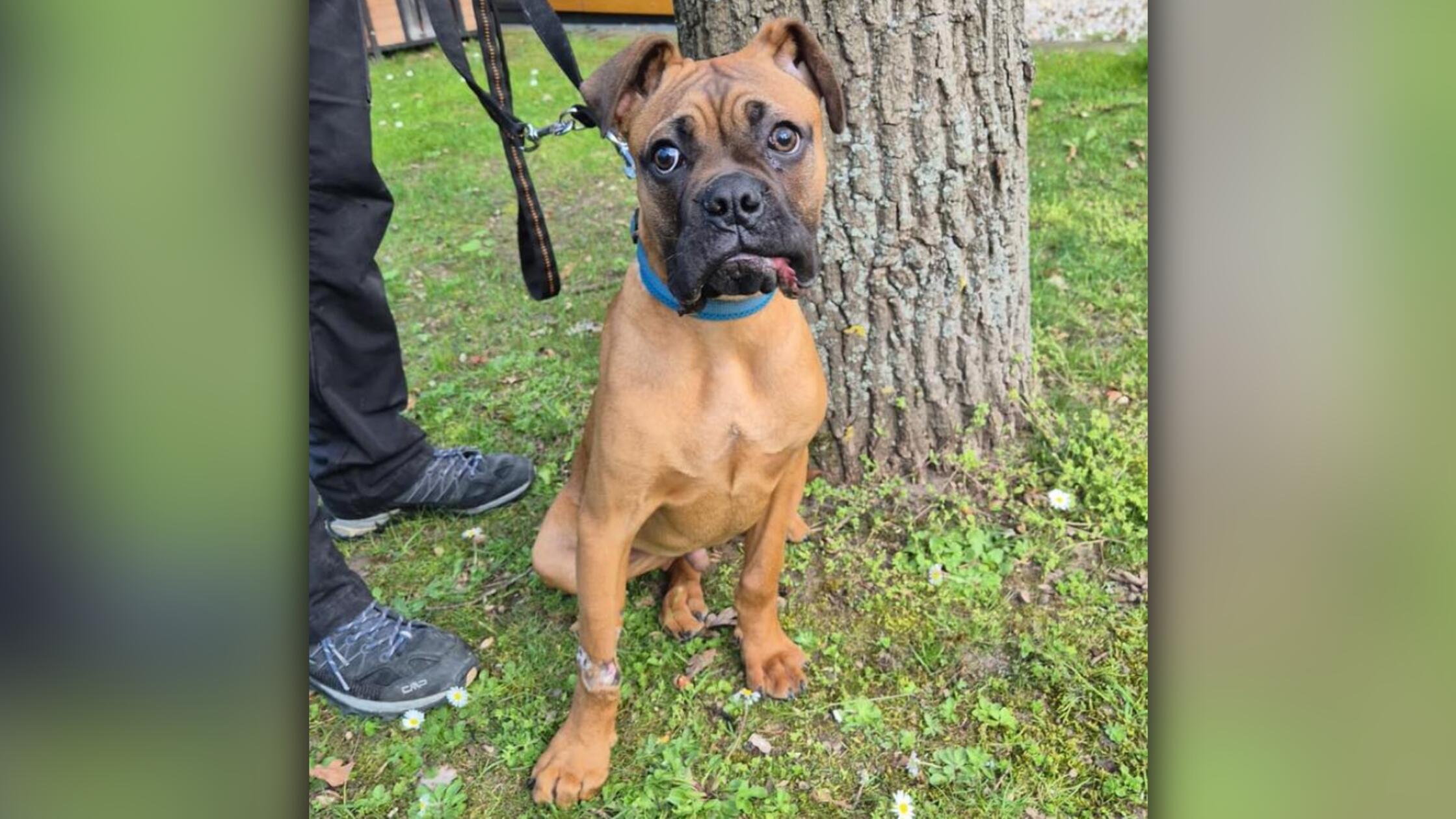 2026-04-26_15-02_bild_erweitern