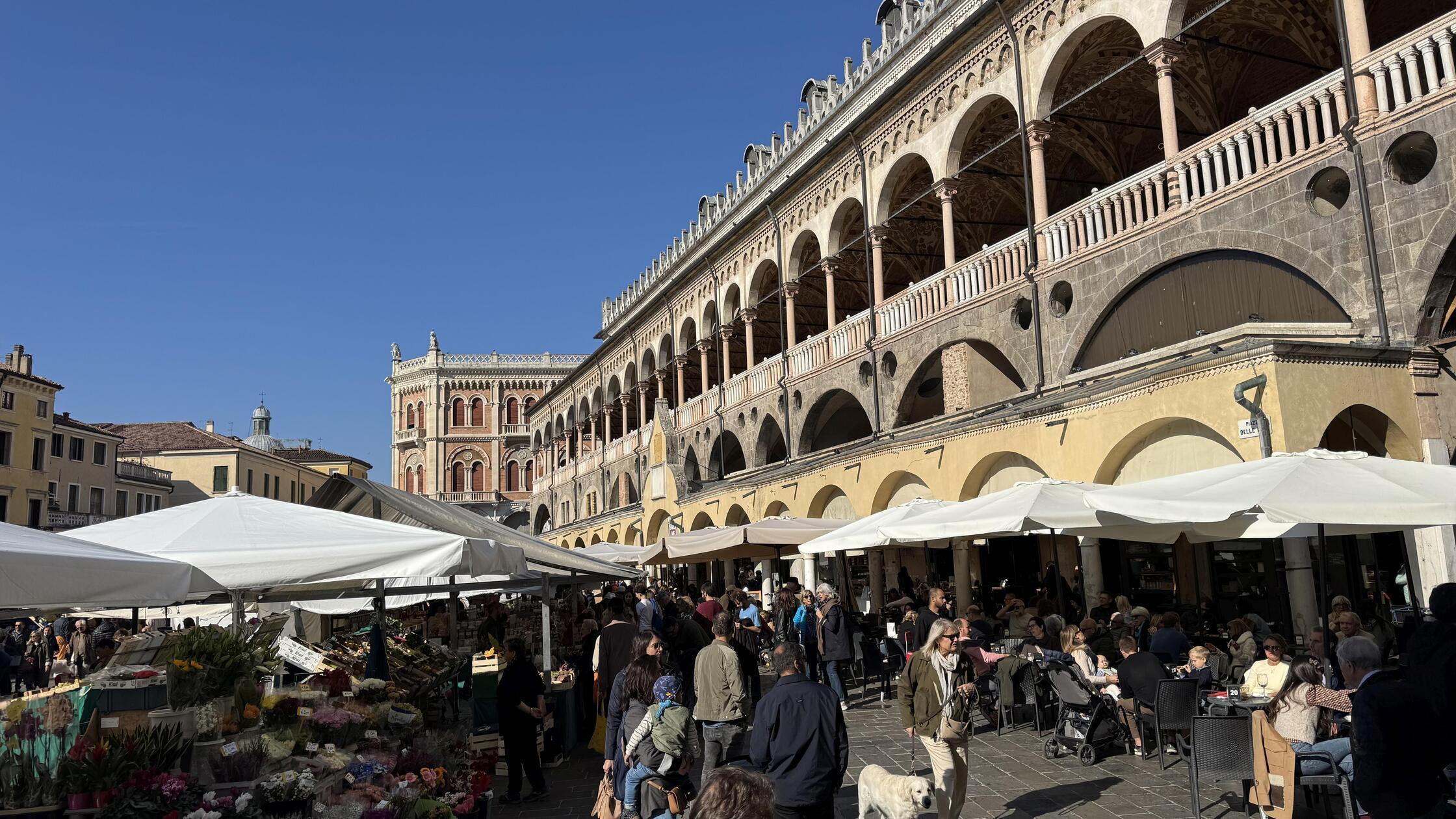 padova1