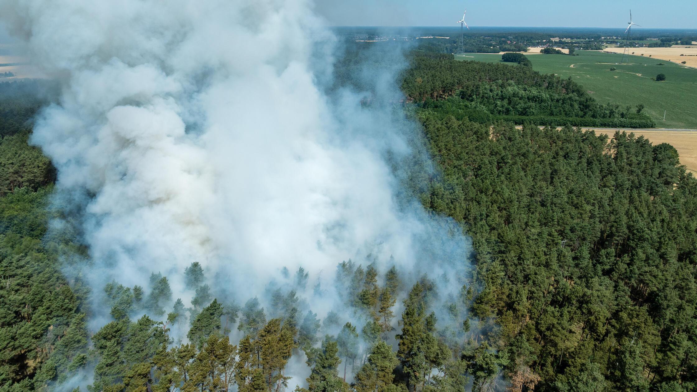 Waldbrand in Brandenburg