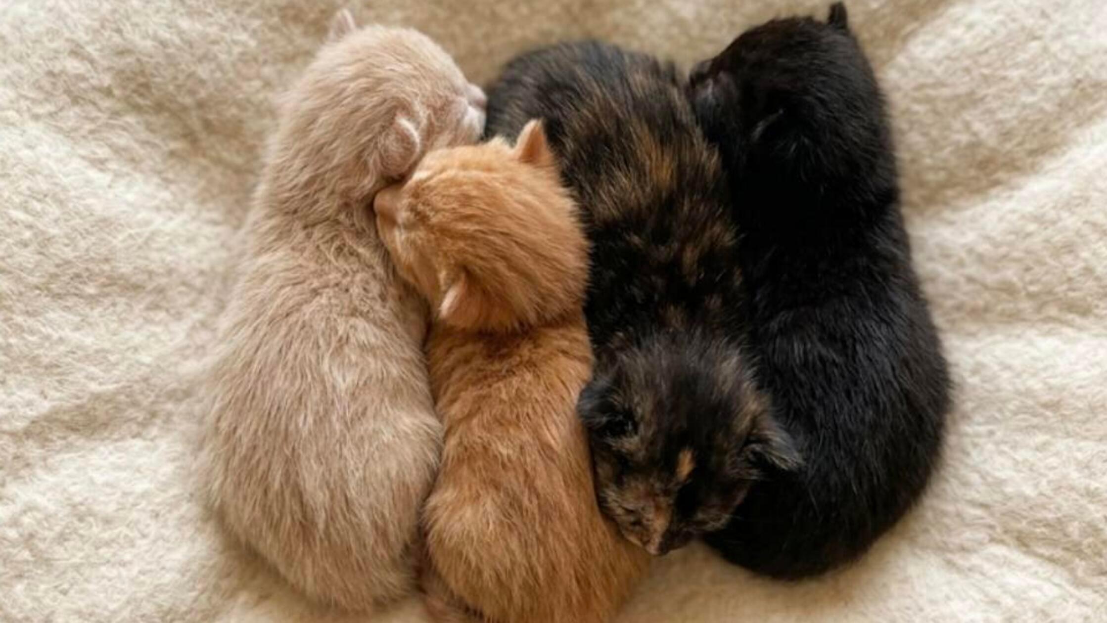 683644203_1435536201951323_4715430304258624389_n