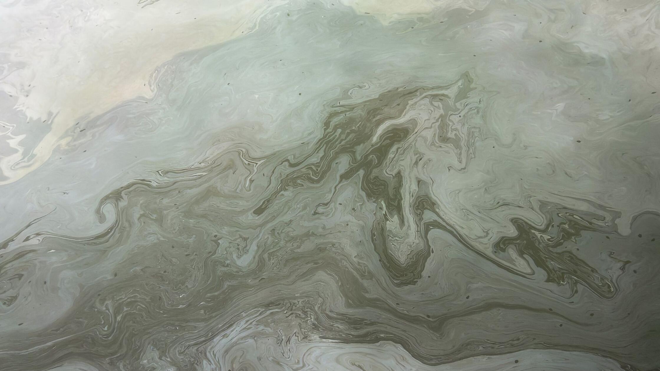 Ein Ölfilm liegt auf der Wasseroberfläche des Main