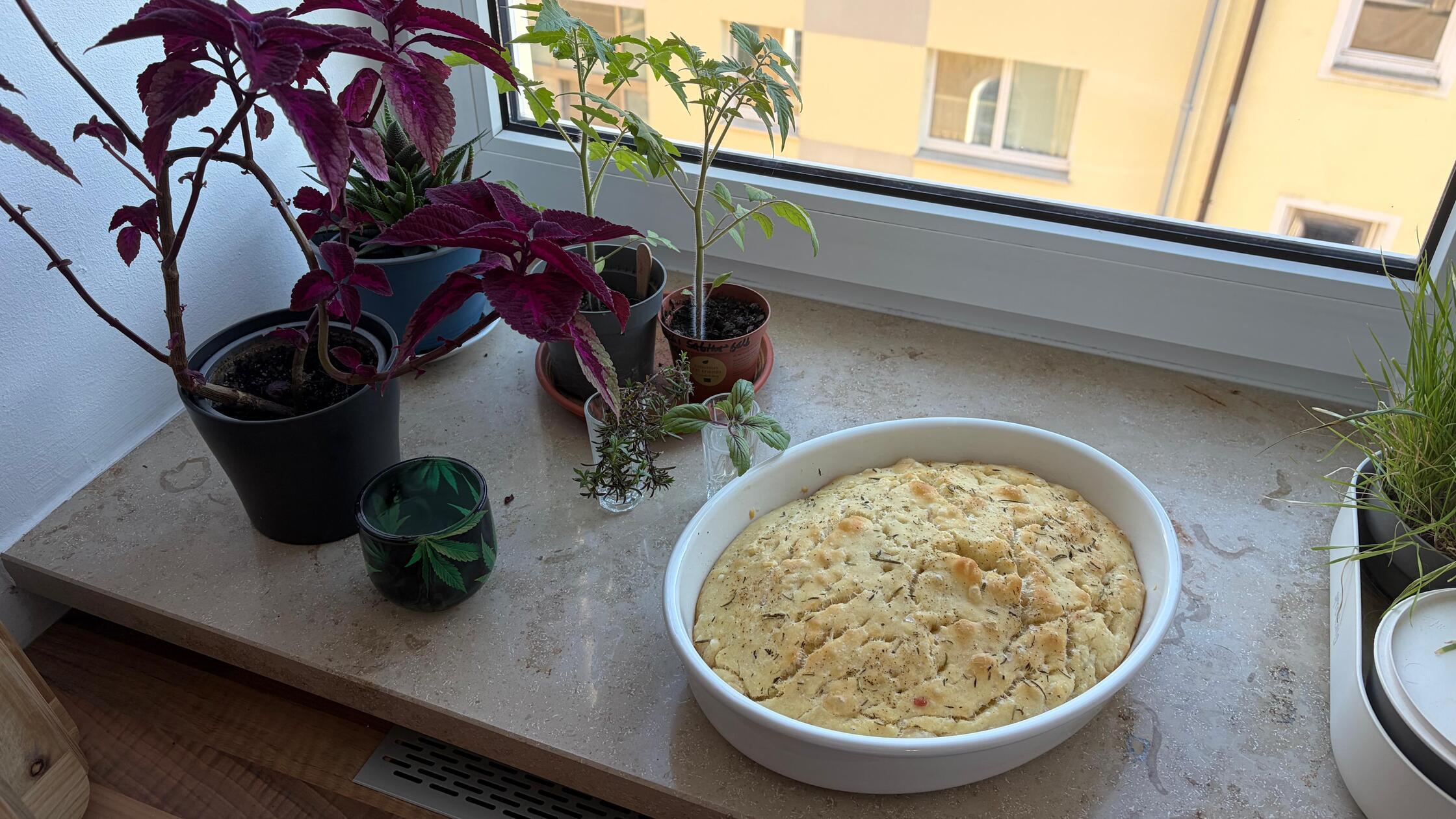 Mehr zum Thema