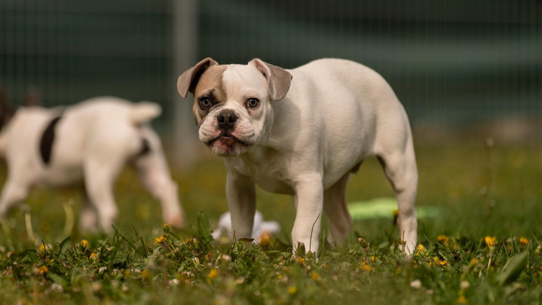 684125170_1399213142251453_6864441973491043332_n