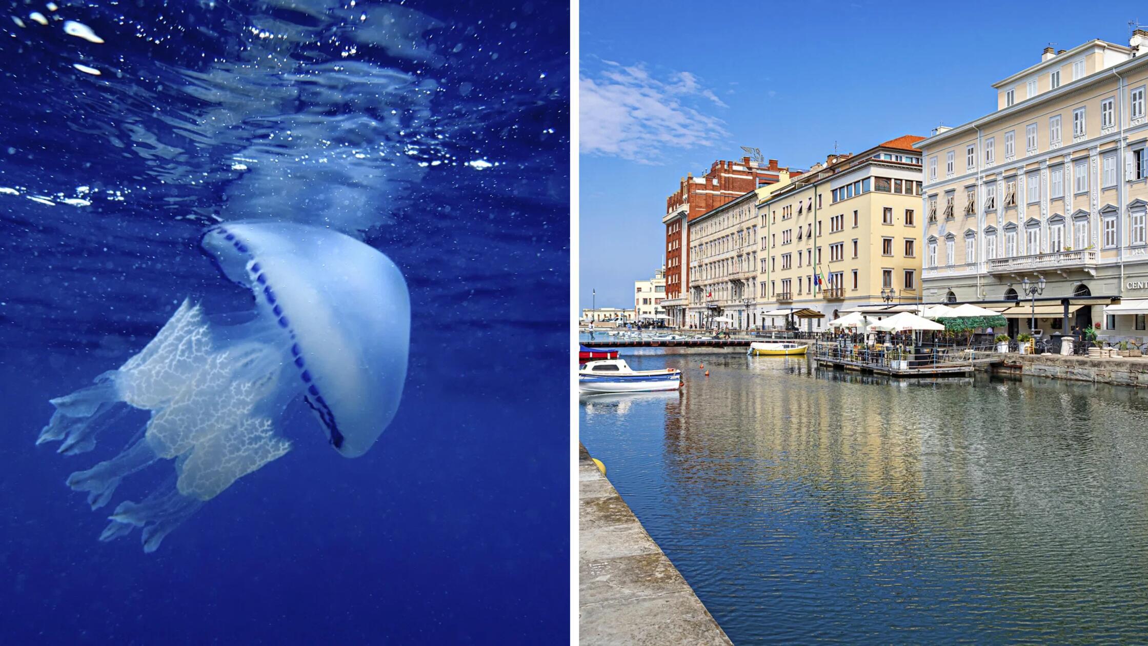 2026-04-30_08-55_collage