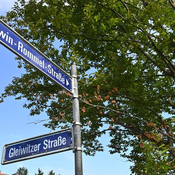 Mehr zum Thema