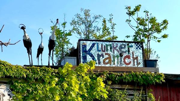Klunkerkranich